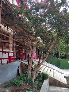 KUNMING - Temple YUANTONG - 03
